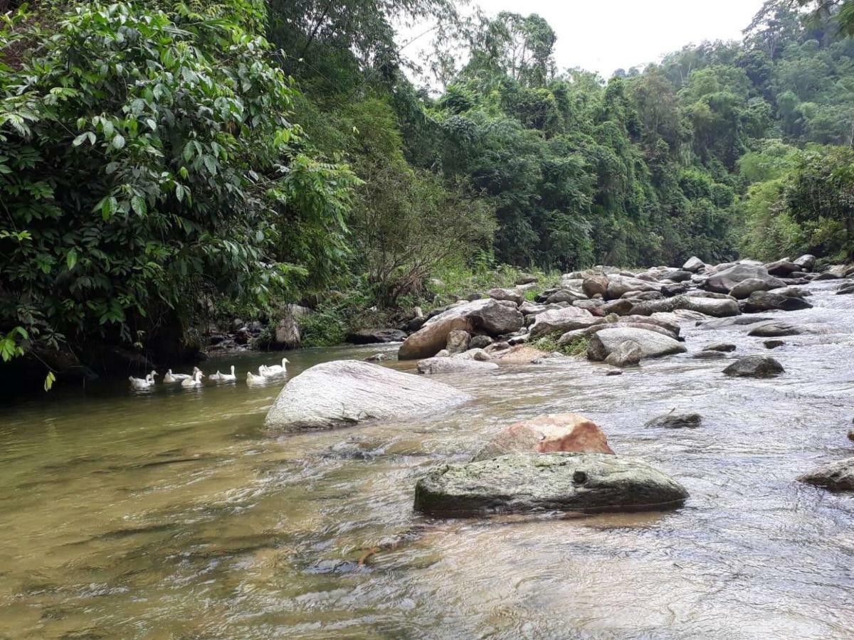 Ha Giang Faithien Homestay מראה חיצוני תמונה